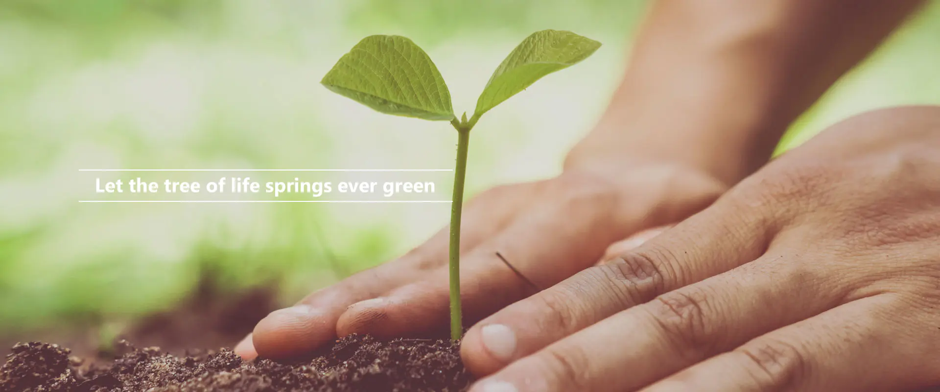 Nech jarný strom života večne zelený