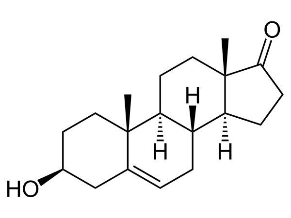 DHEA (prasterón)